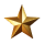 gold star